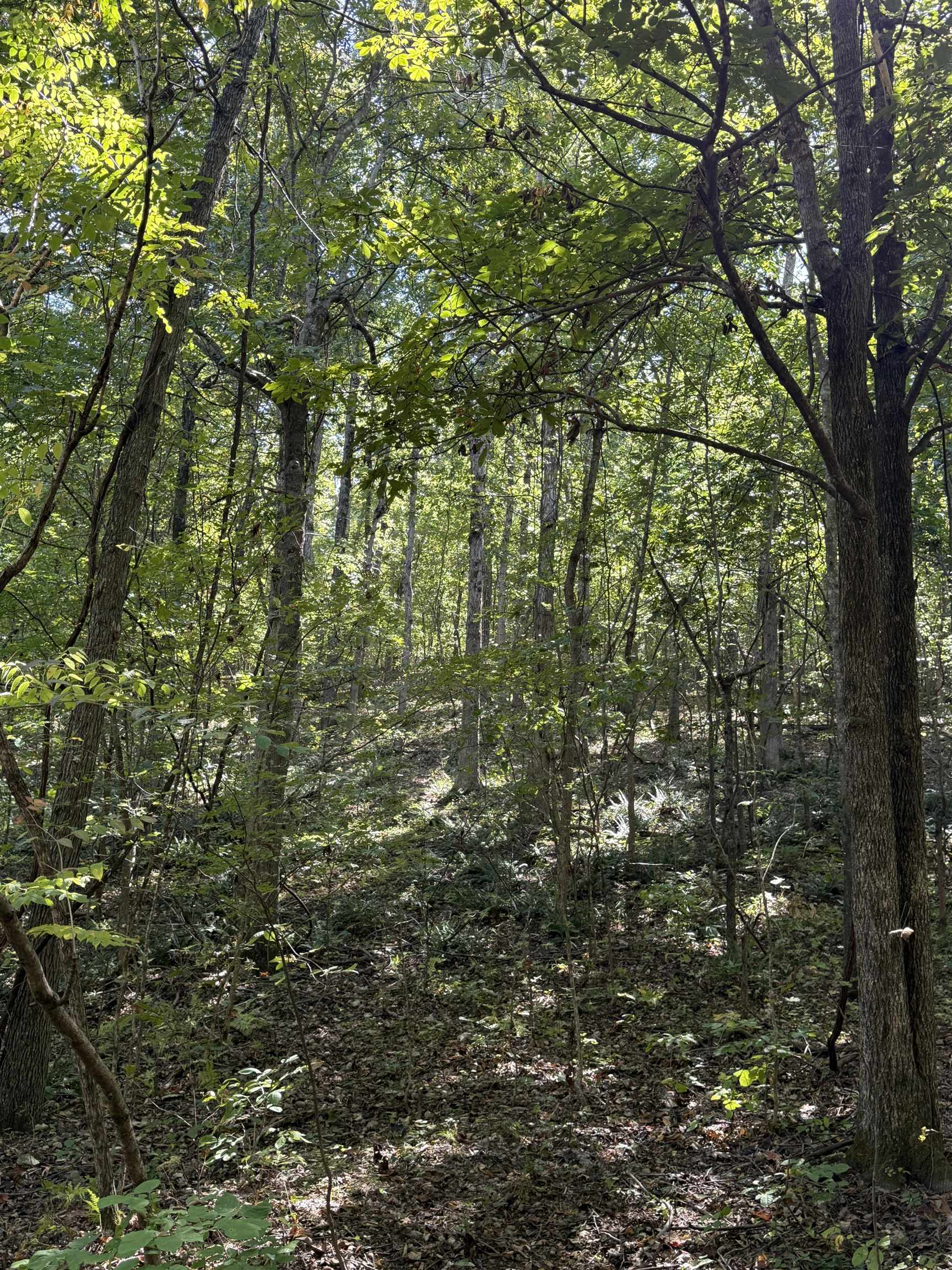 46A Lafferty Road  Mount Pleasant, AR