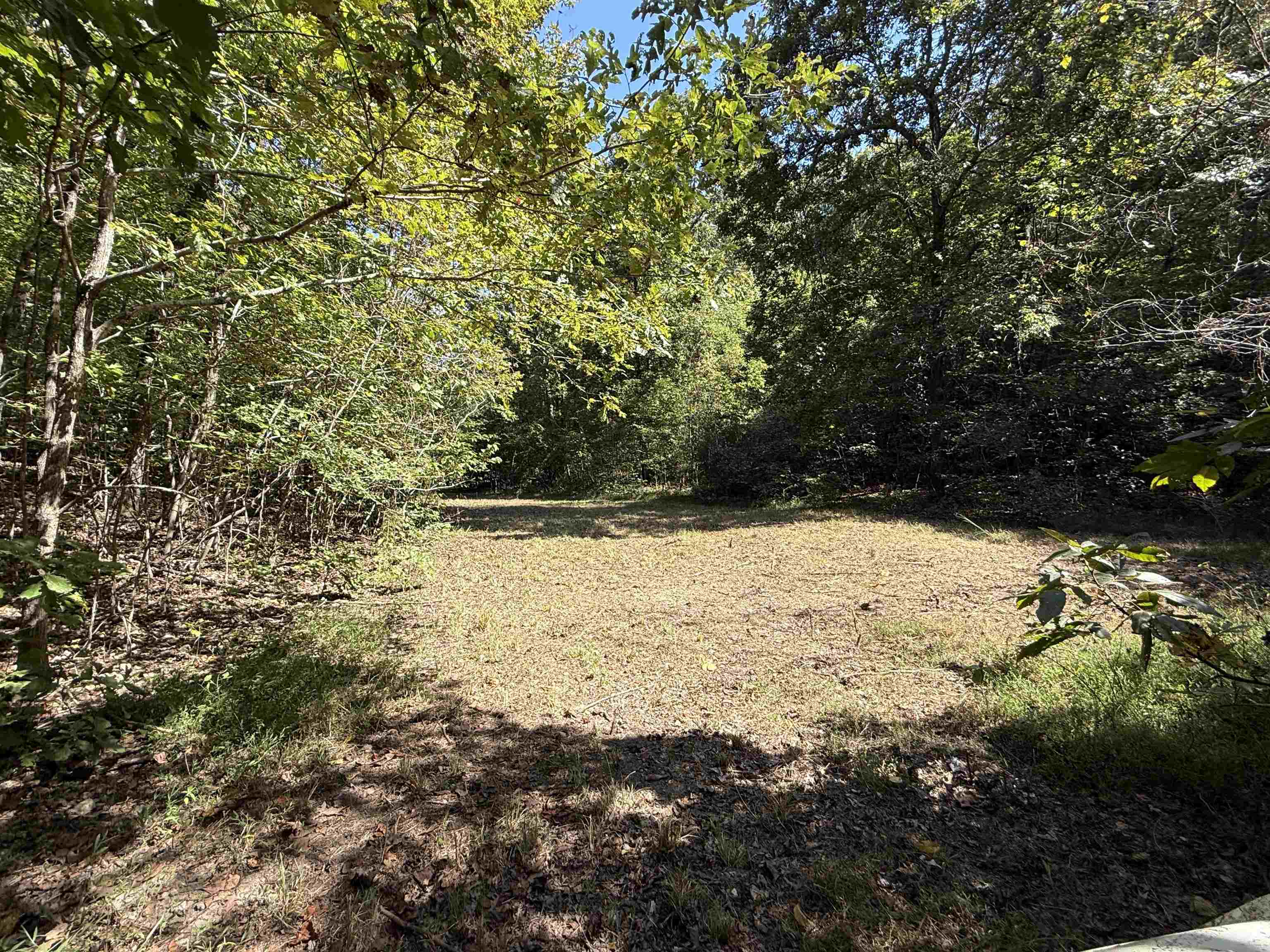 46A Lafferty Road  Mount Pleasant, AR