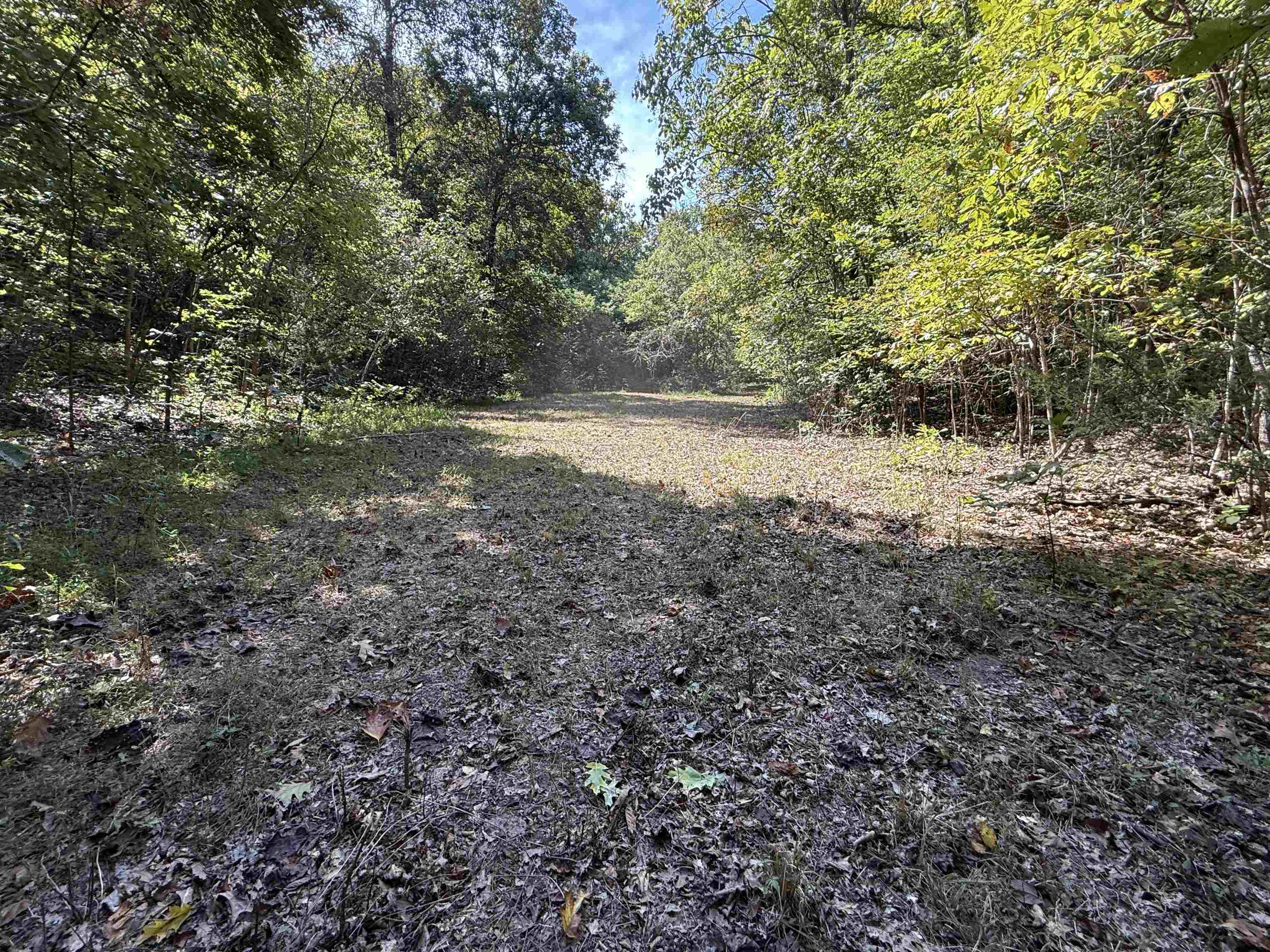 46A Lafferty Road  Mount Pleasant, AR