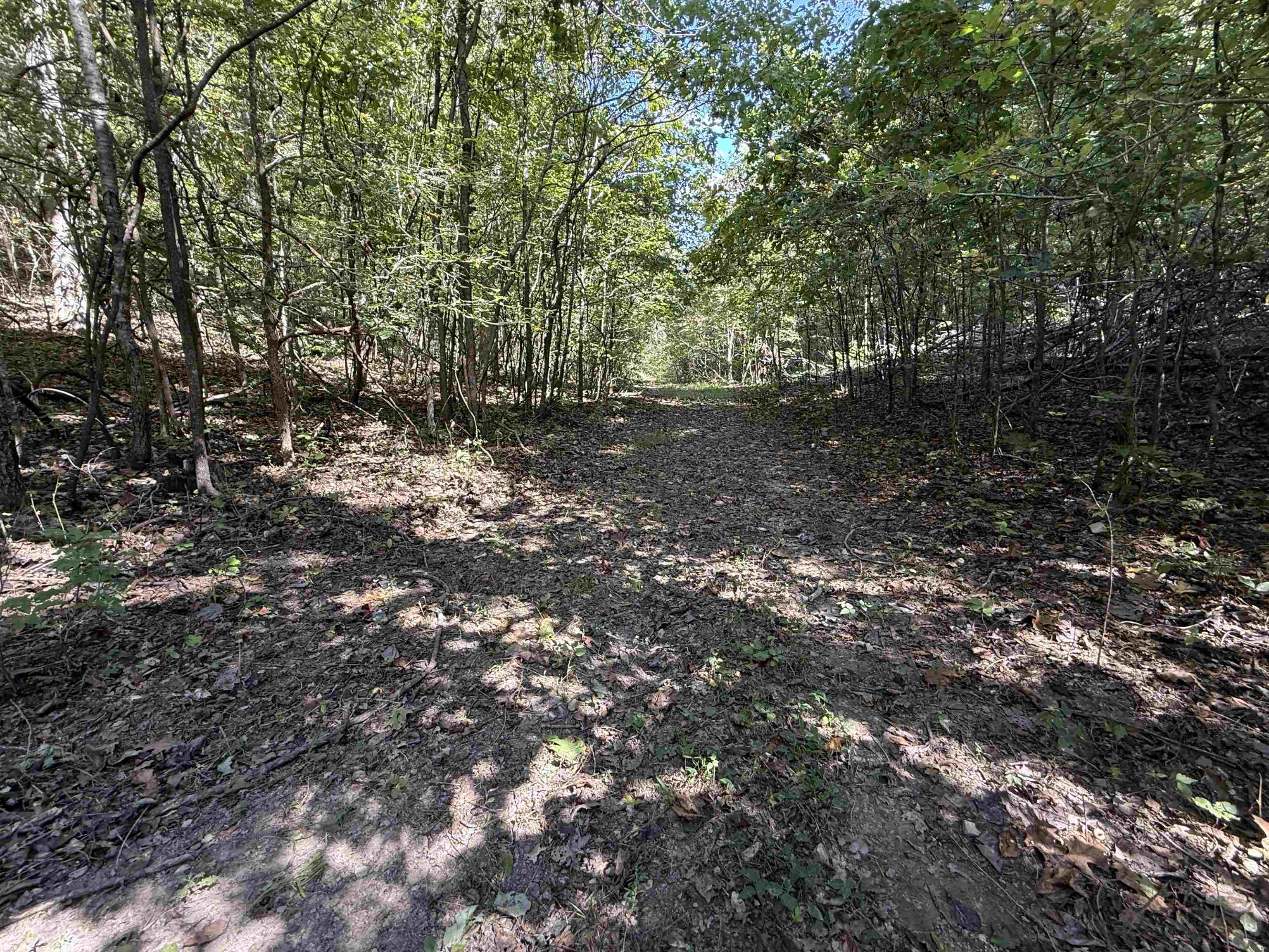 46A Lafferty Road  Mount Pleasant, AR