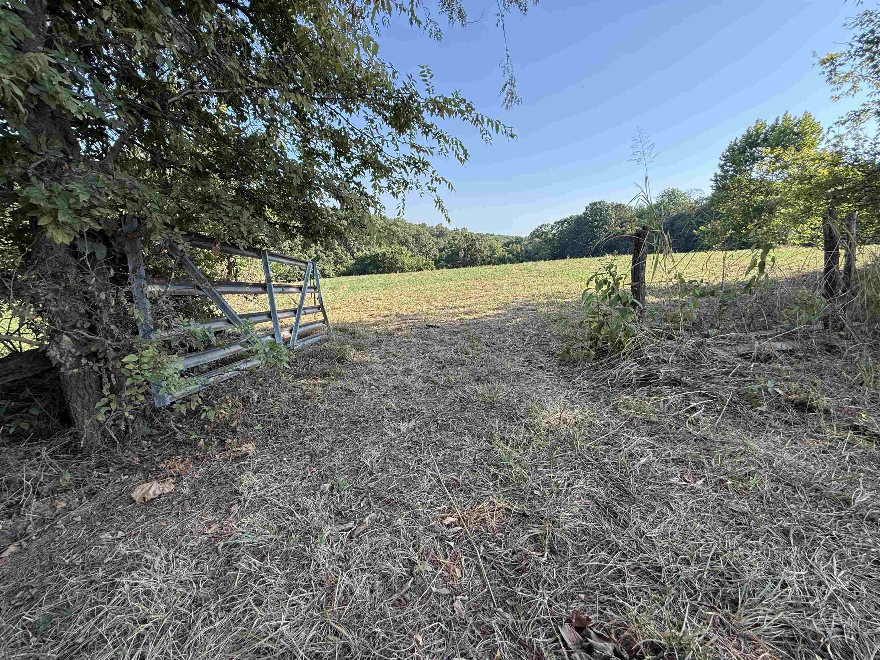 46A Lafferty Road  Mount Pleasant, AR