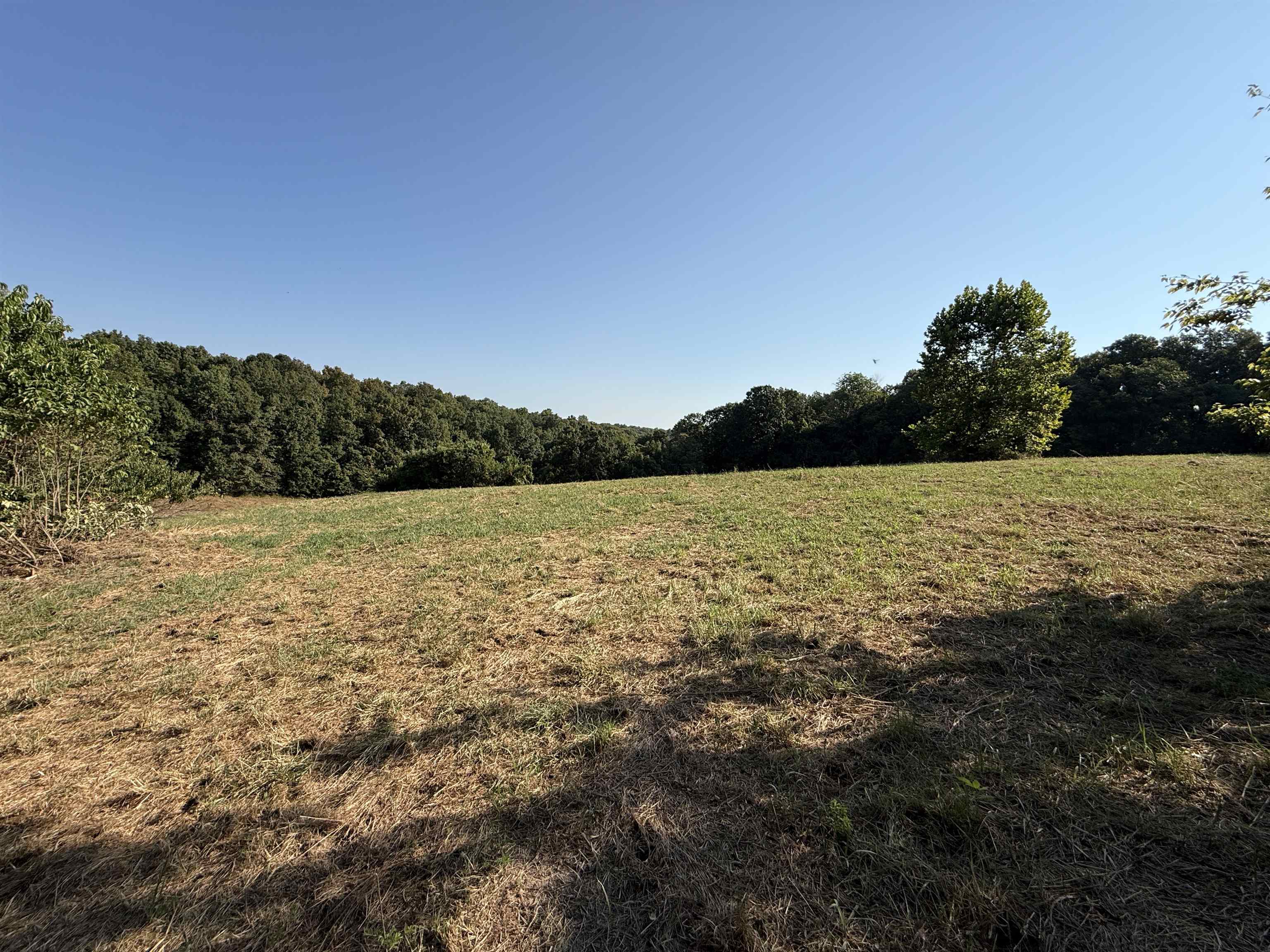 46A Lafferty Road  Mount Pleasant, AR