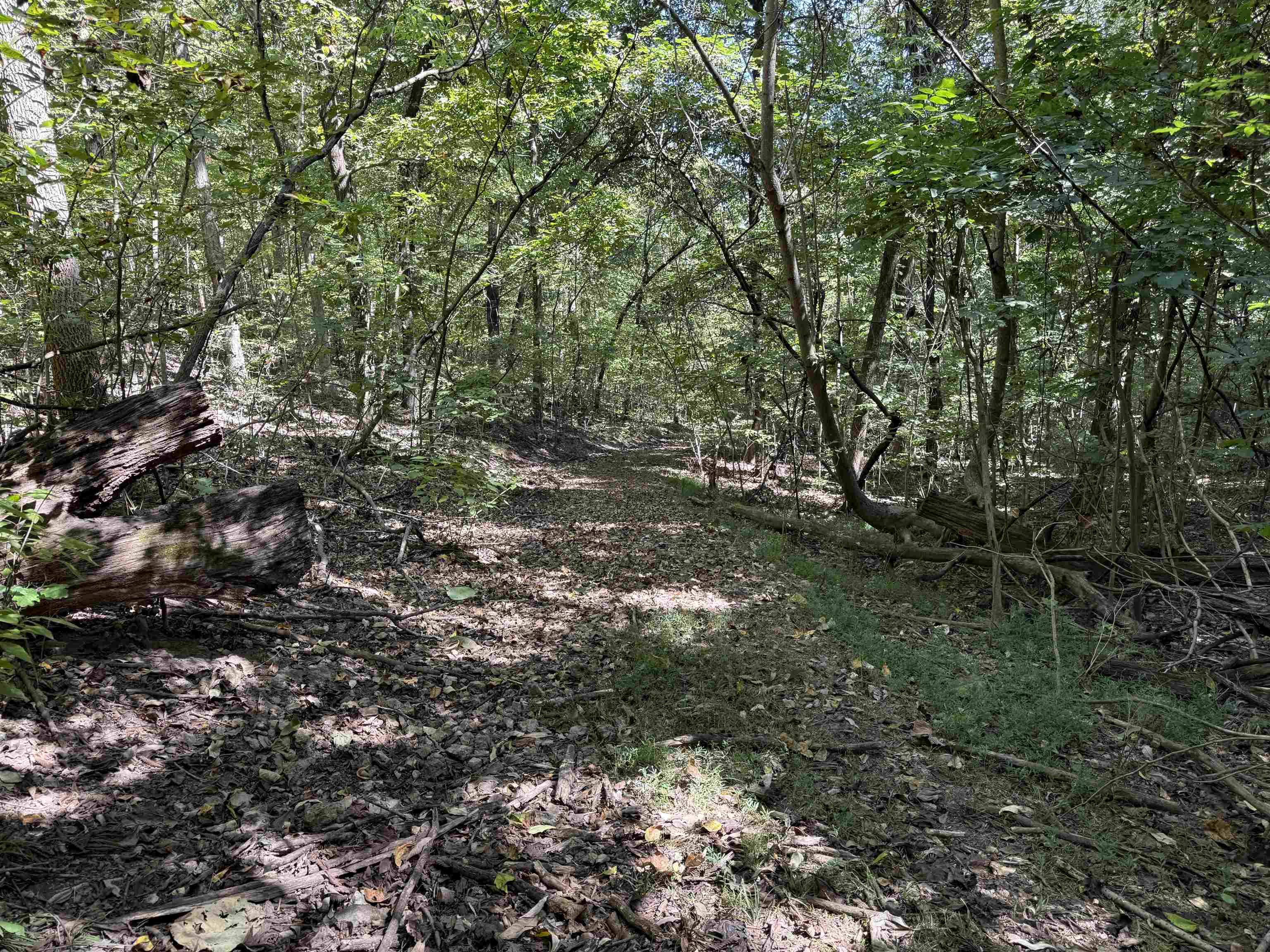 46A Lafferty Road  Mount Pleasant, AR