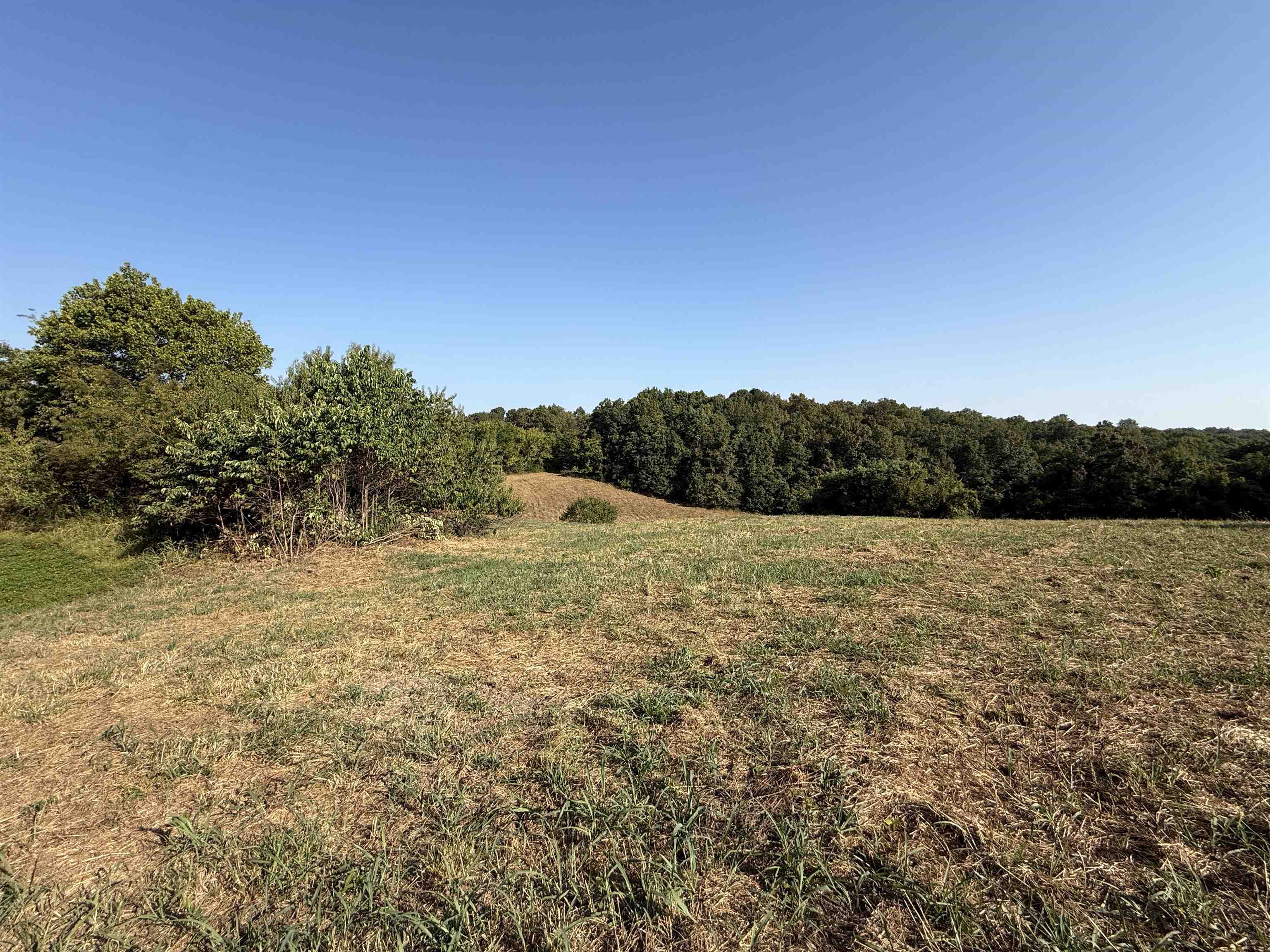 46A Lafferty Road  Mount Pleasant, AR