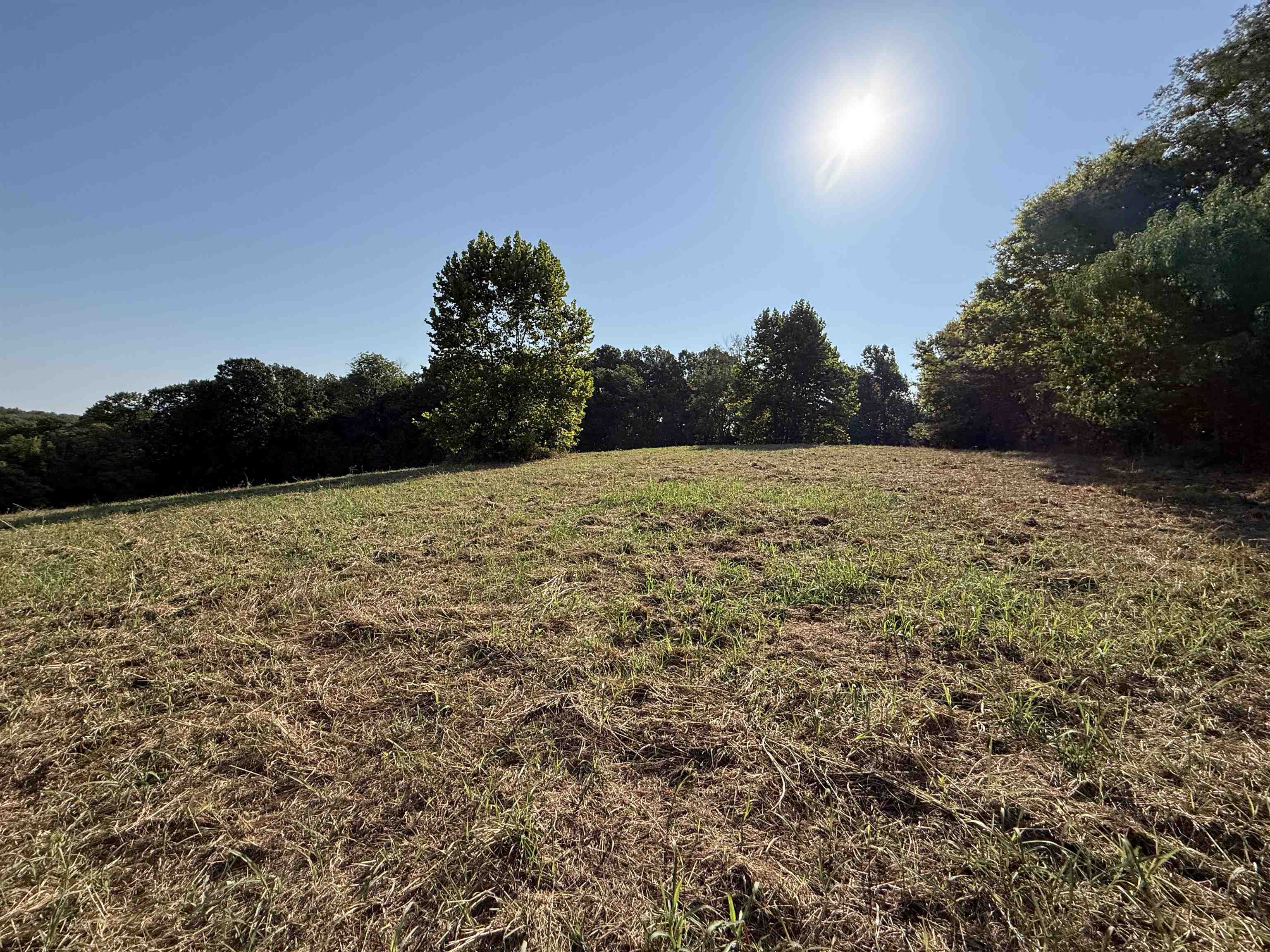 46A Lafferty Road  Mount Pleasant, AR