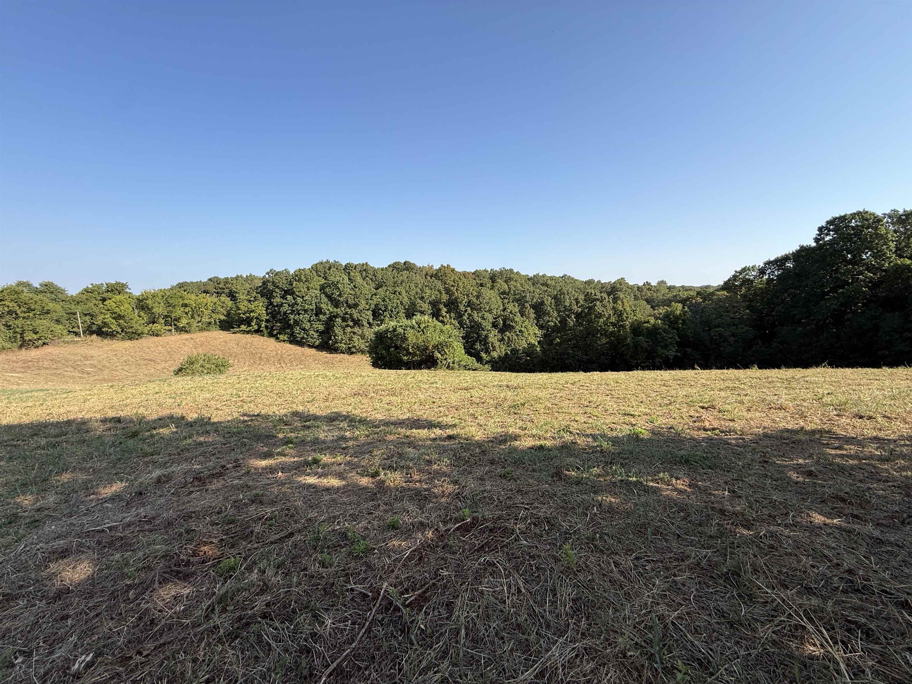 46A Lafferty Road  Mount Pleasant, AR