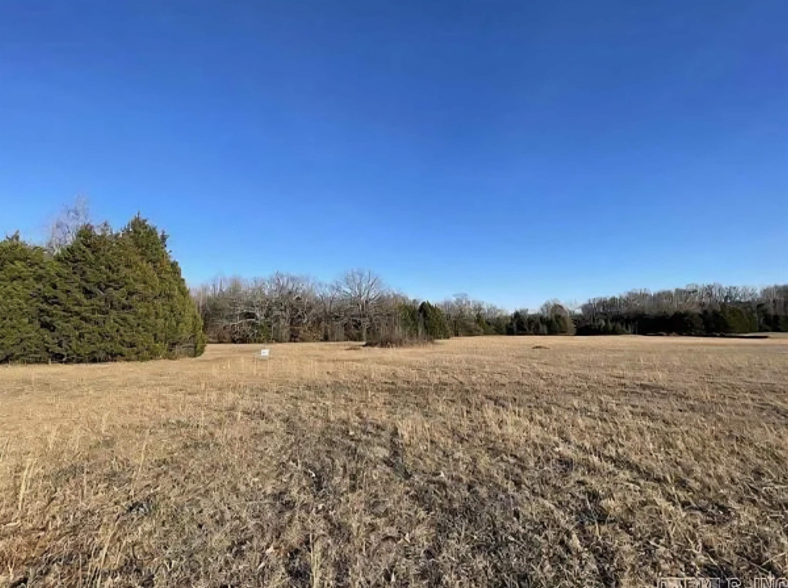 82 Addi Lane  Conway, AR