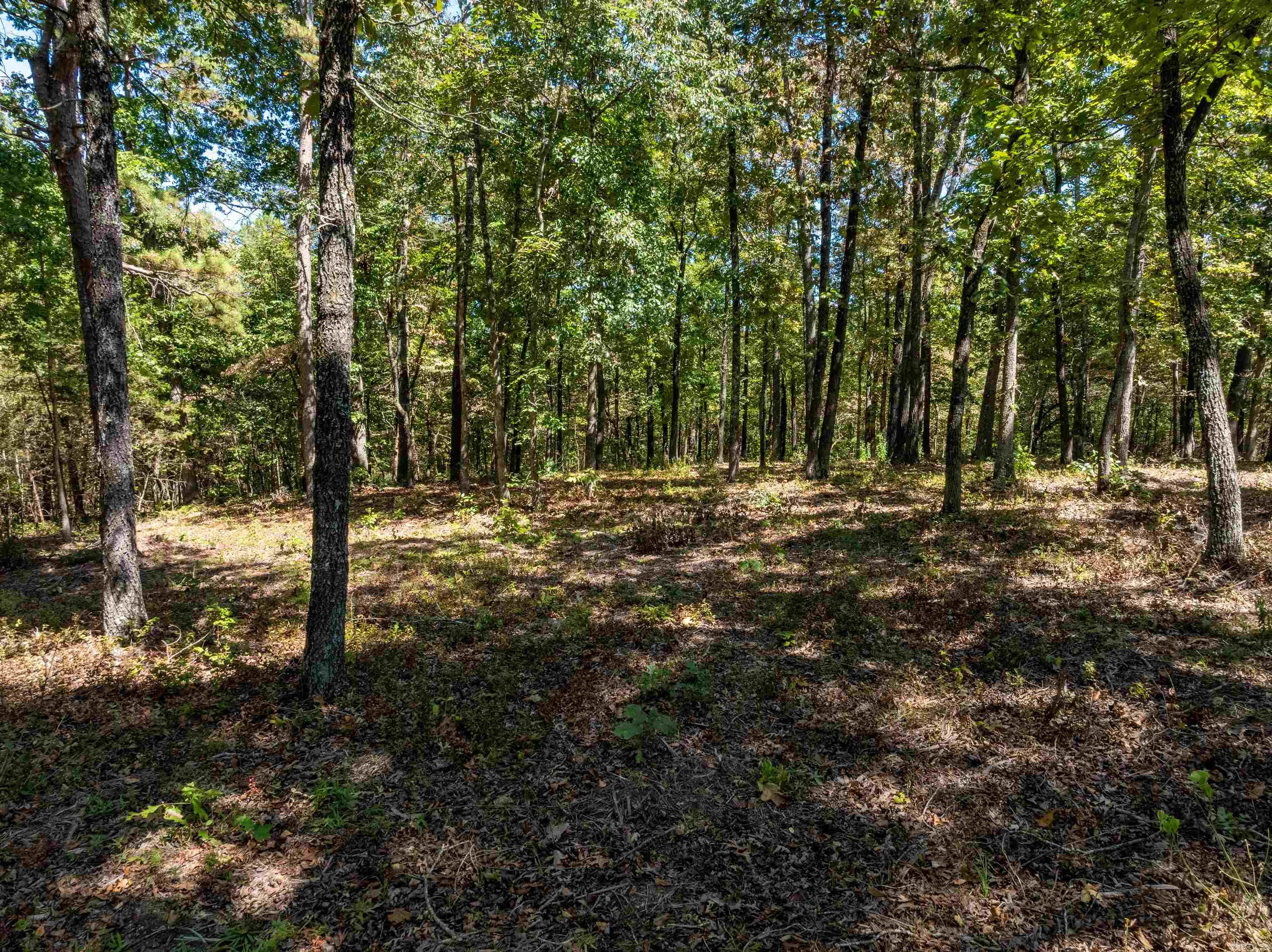  Silver Springs Rd  Evening Shade, AR