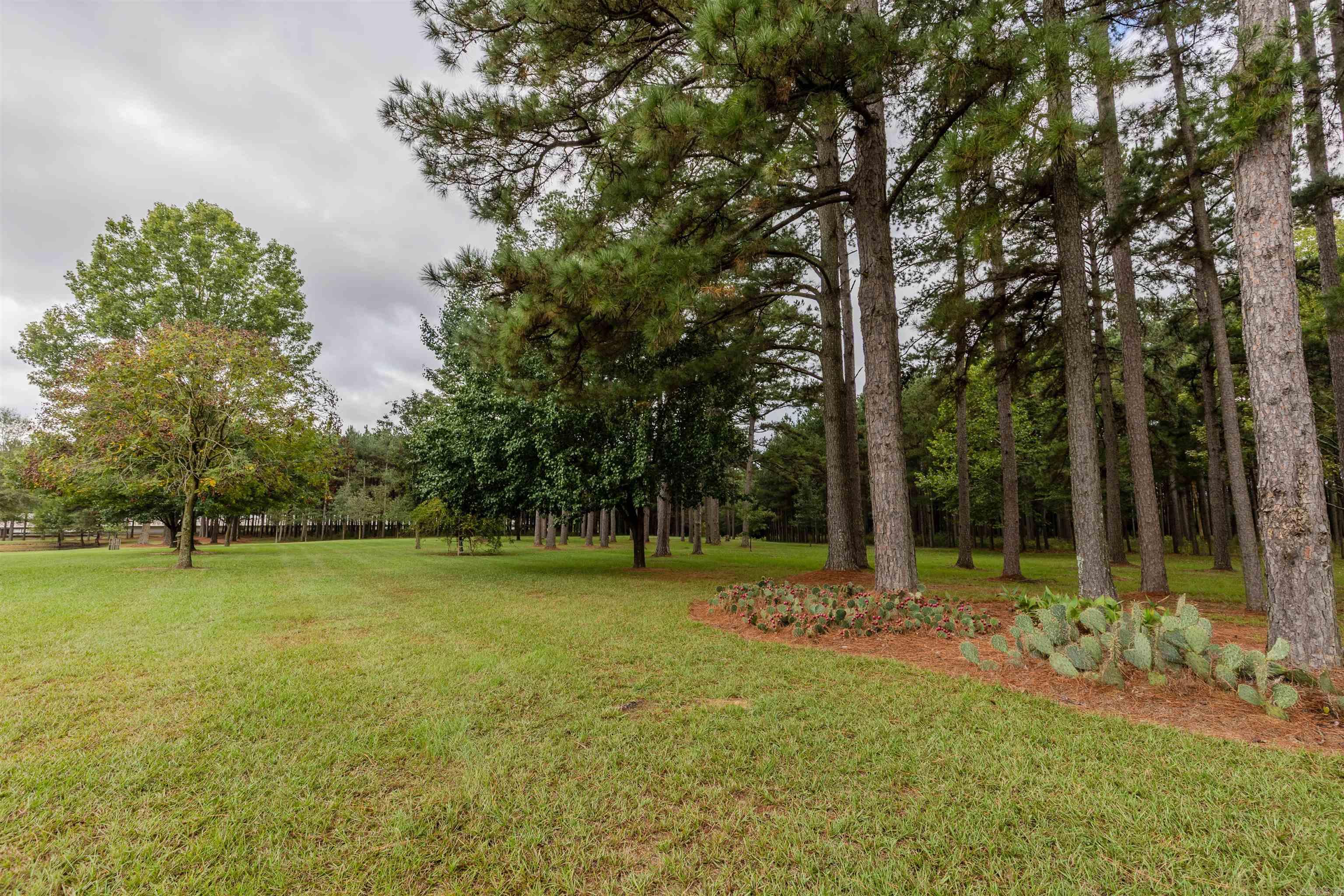 184 N Bradley 14  Banks, AR