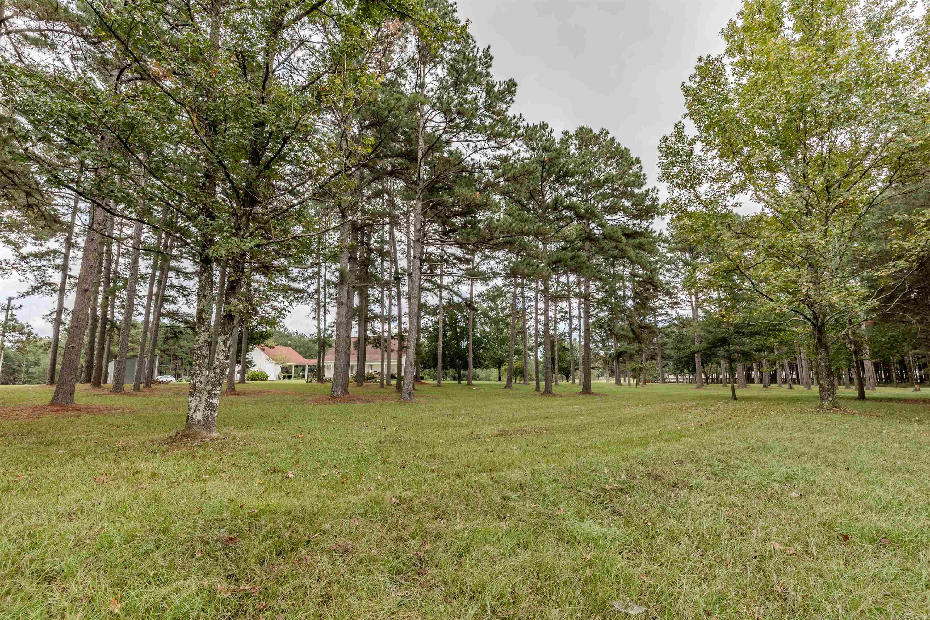 184 N Bradley 14  Banks, AR