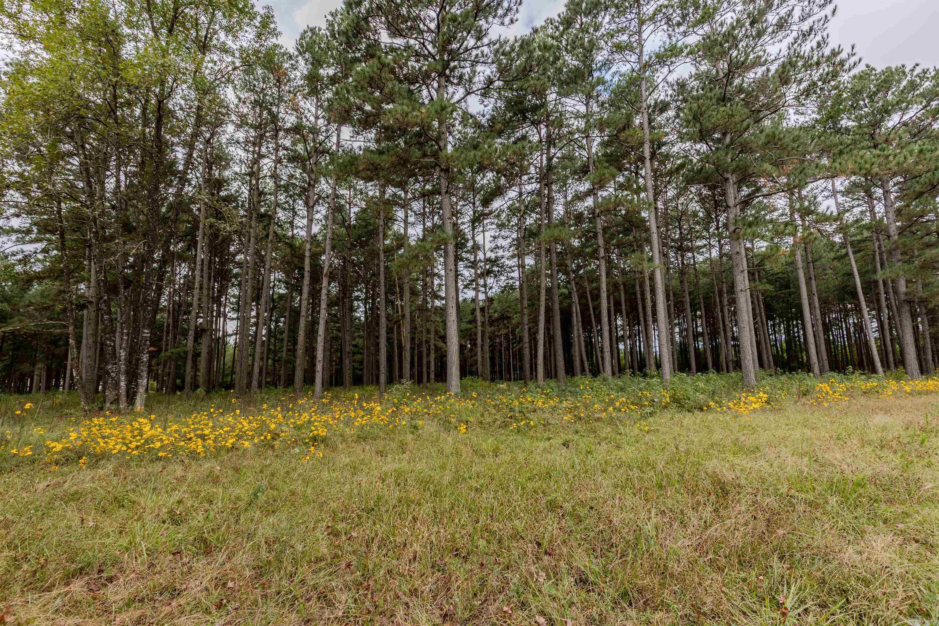 184 N Bradley 14  Banks, AR