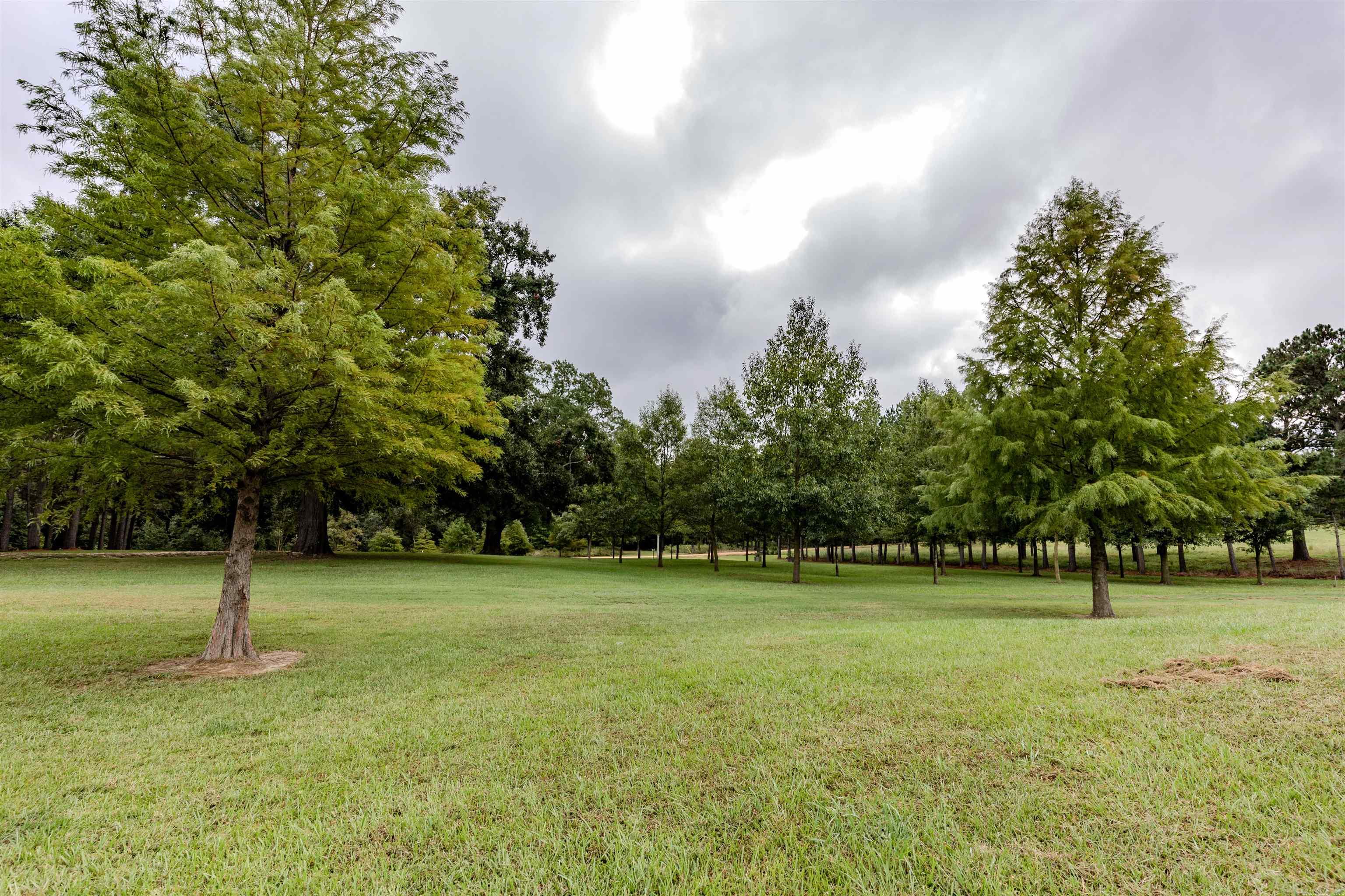 184 N Bradley 14  Banks, AR