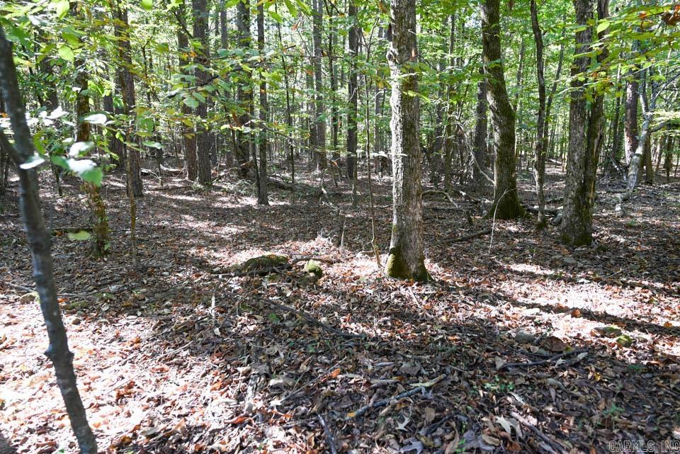 21 Moon Dance  Mount Ida, AR