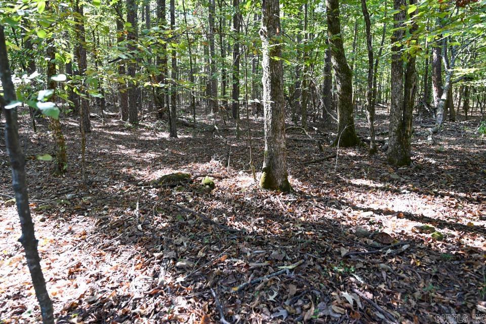 21 Moon Dance  Mount Ida, AR