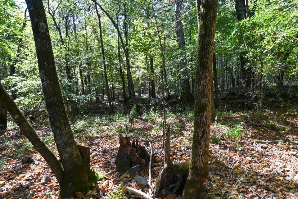 21 Moon Dance  Mount Ida, AR