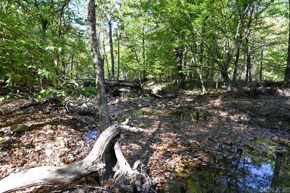 21 Moon Dance  Mount Ida, AR