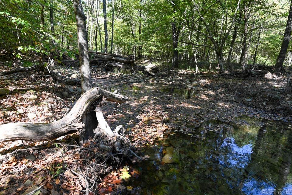 21 Moon Dance  Mount Ida, AR