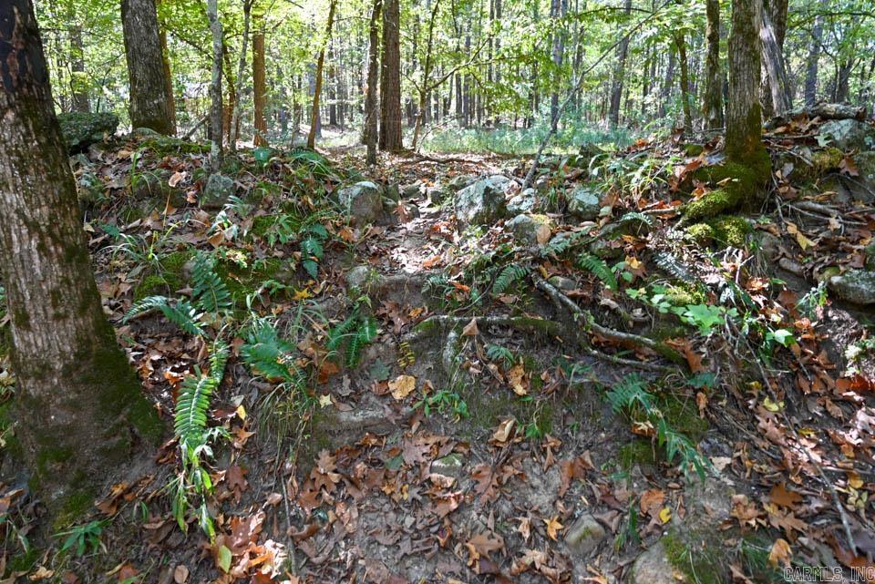 21 Moon Dance  Mount Ida, AR