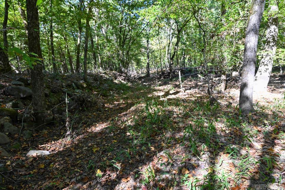 21 Moon Dance  Mount Ida, AR