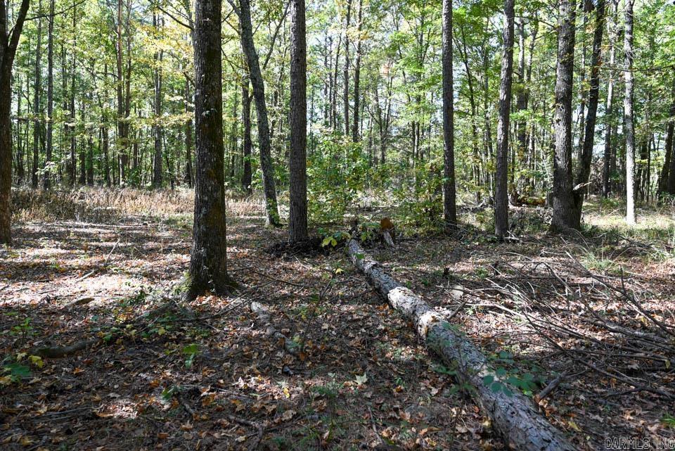 21 Moon Dance  Mount Ida, AR