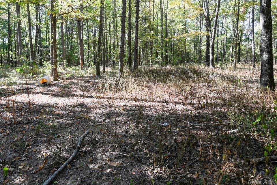 21 Moon Dance  Mount Ida, AR