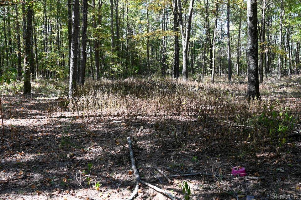 21 Moon Dance  Mount Ida, AR