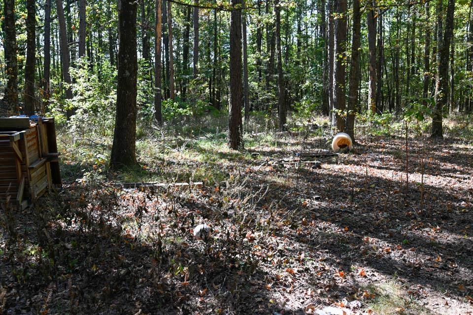 21 Moon Dance  Mount Ida, AR