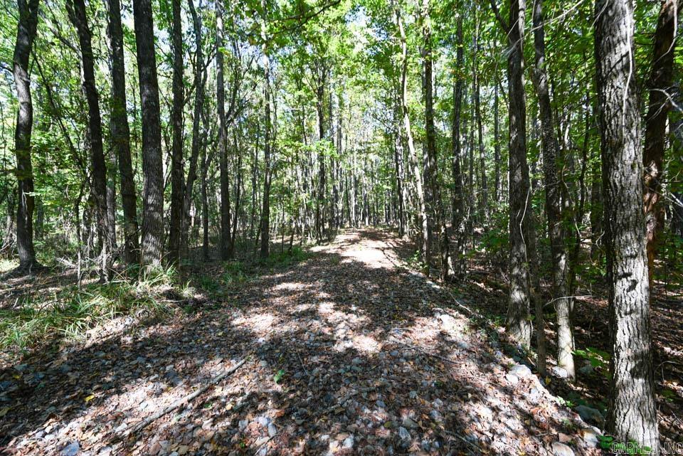 21 Moon Dance  Mount Ida, AR