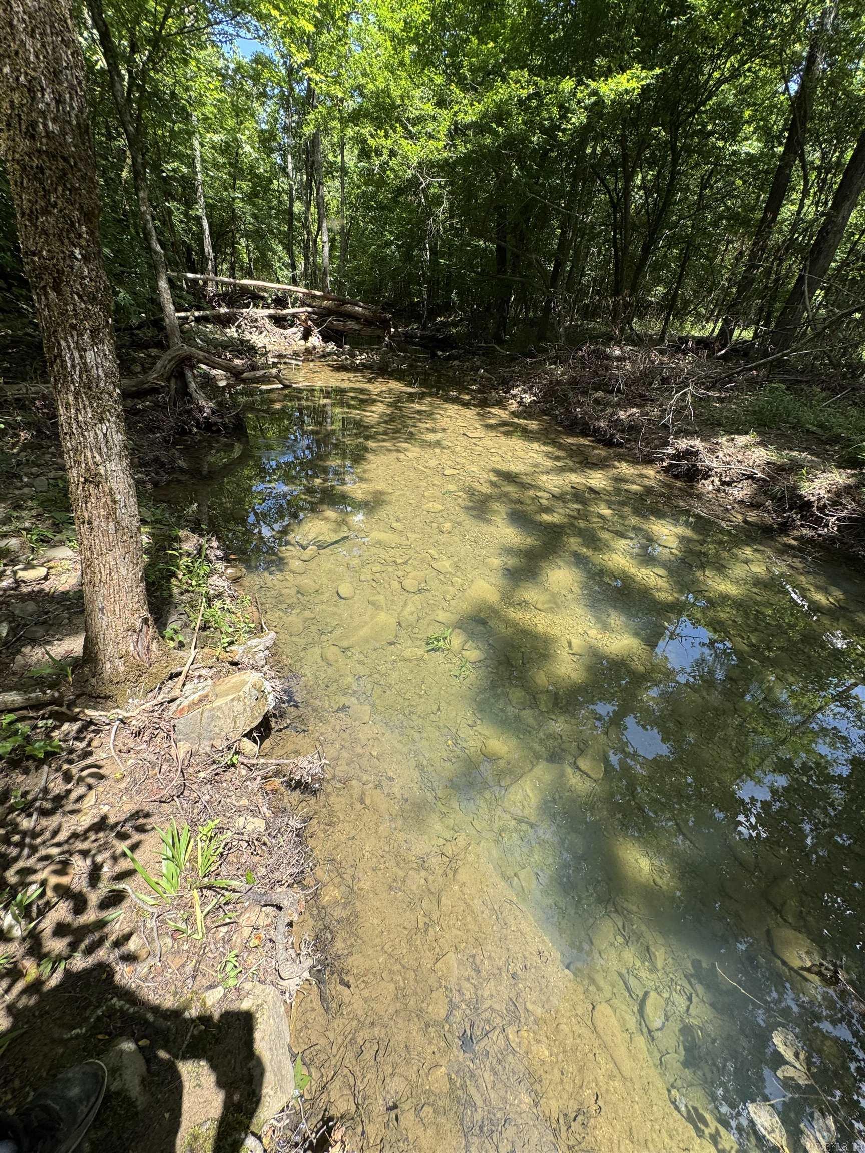 21 Moon Dance  Mount Ida, AR