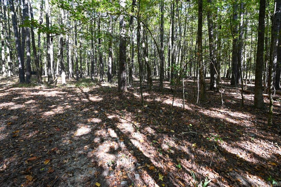 21 Moon Dance  Mount Ida, AR