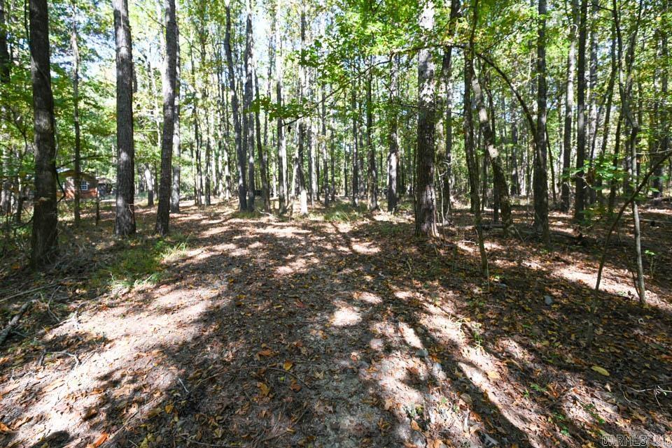 21 Moon Dance  Mount Ida, AR