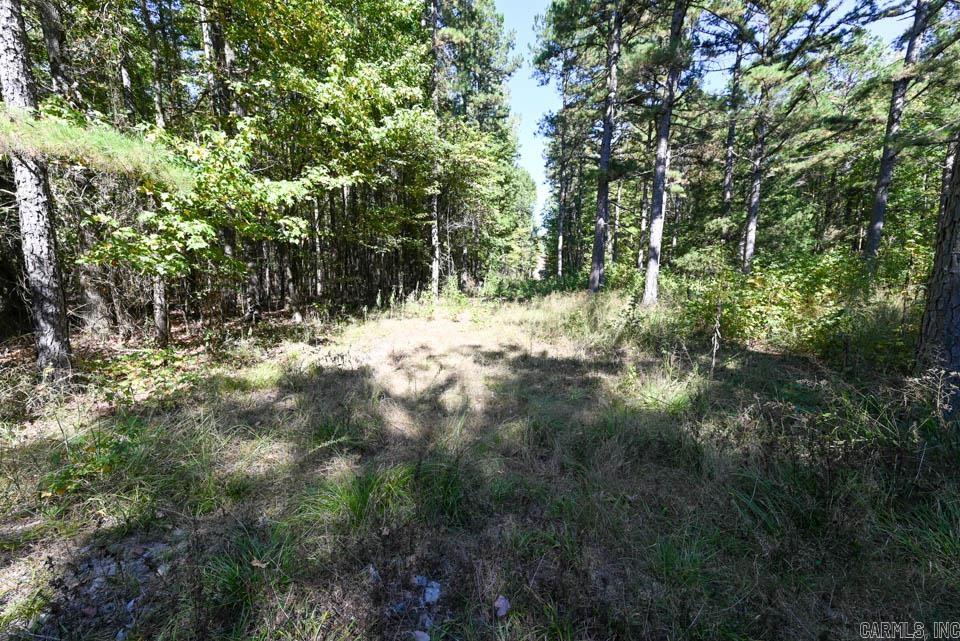 21 Moon Dance  Mount Ida, AR