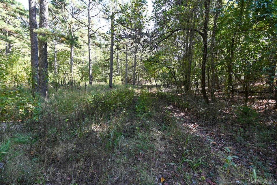 21 Moon Dance  Mount Ida, AR