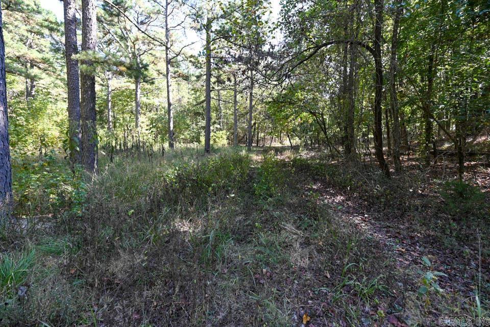 21 Moon Dance  Mount Ida, AR