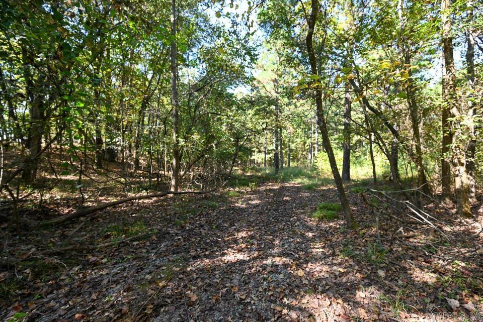 21 Moon Dance  Mount Ida, AR