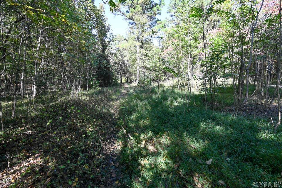 21 Moon Dance  Mount Ida, AR