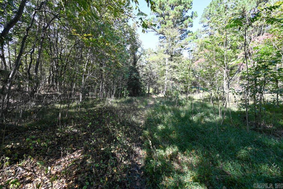 21 Moon Dance  Mount Ida, AR