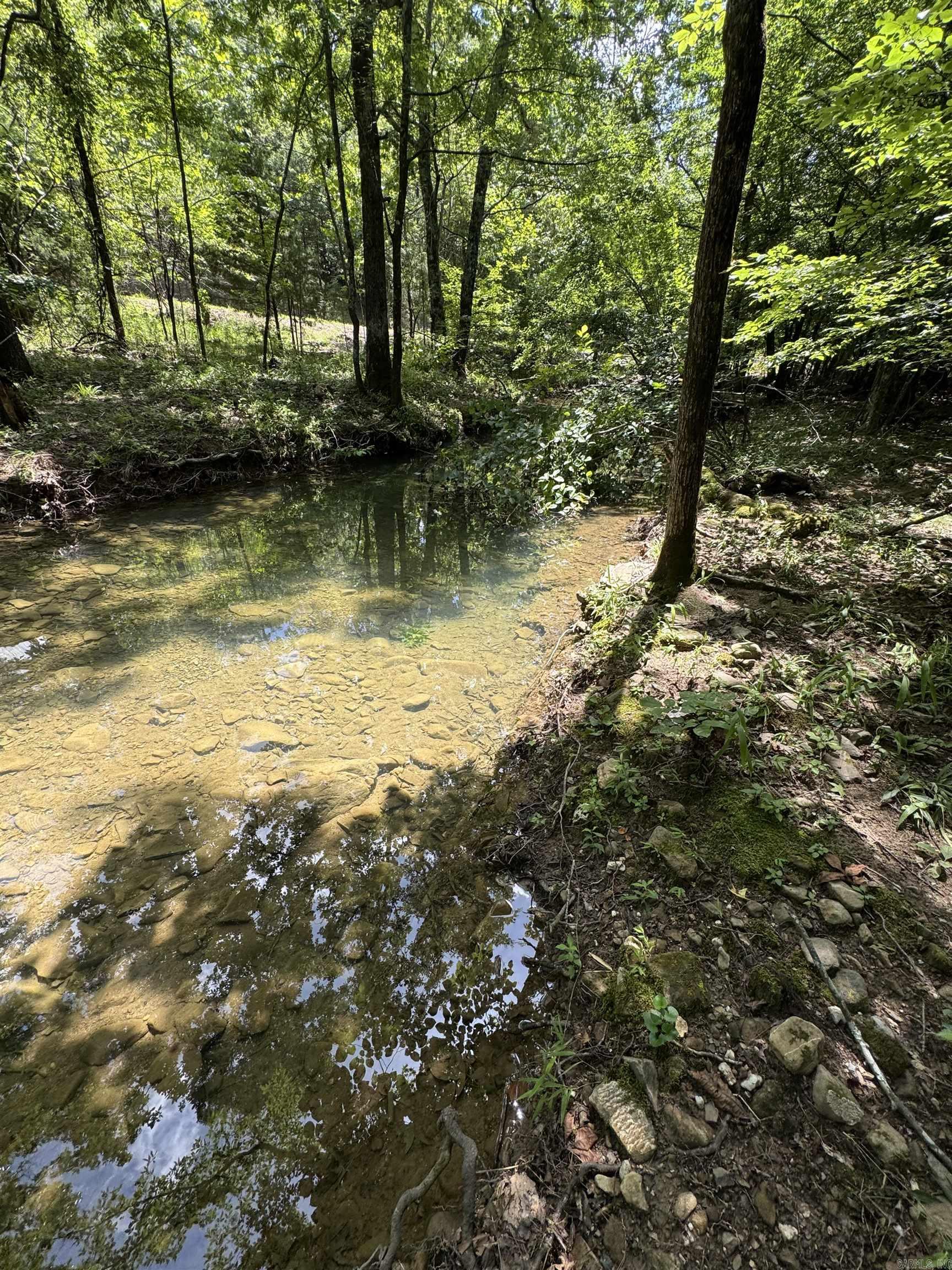 21 Moon Dance  Mount Ida, AR