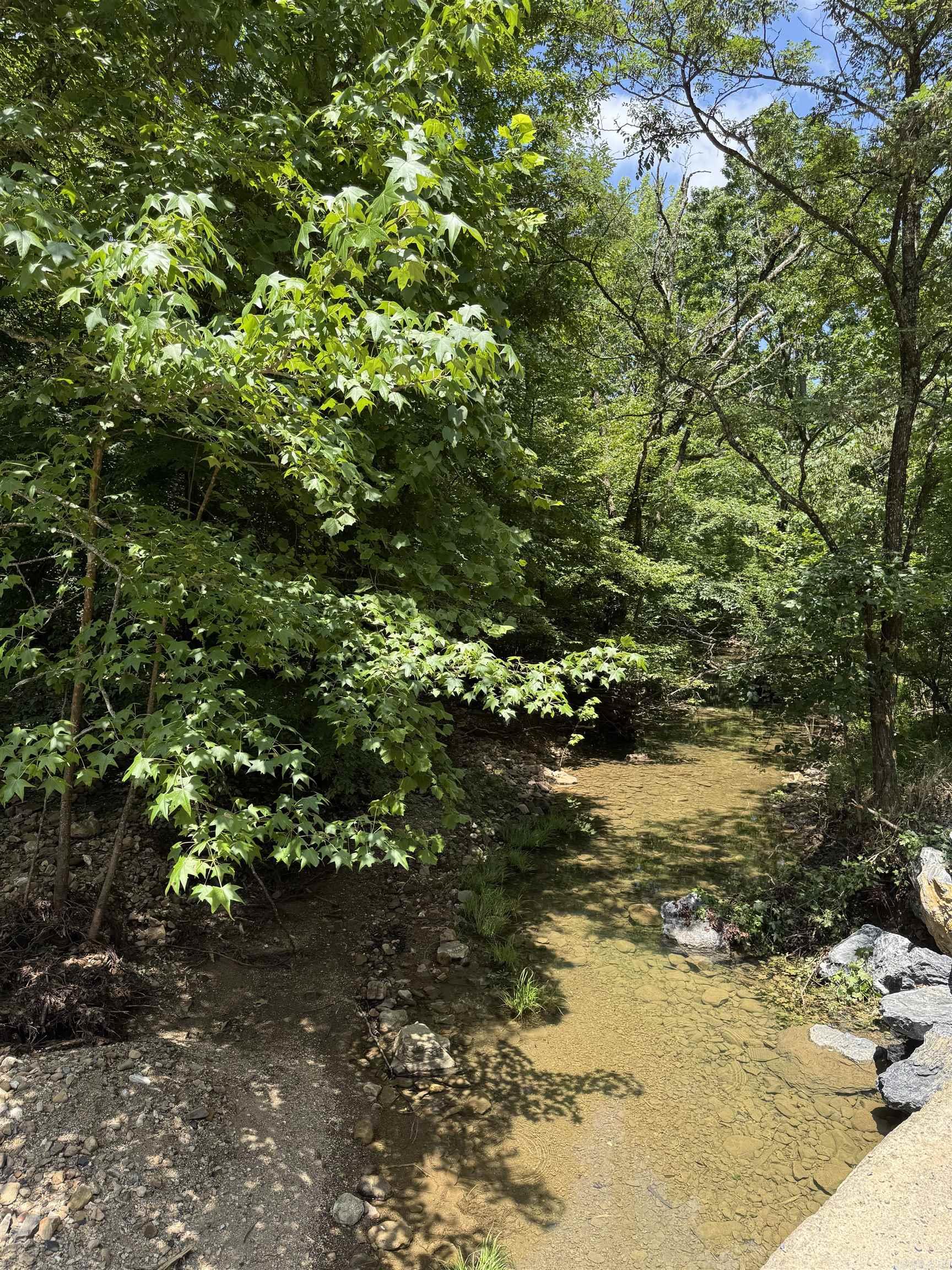 21 Moon Dance  Mount Ida, AR