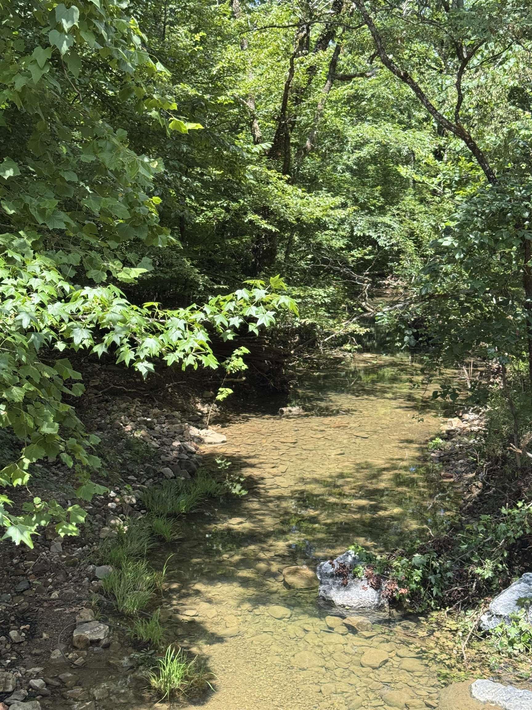 21 Moon Dance  Mount Ida, AR