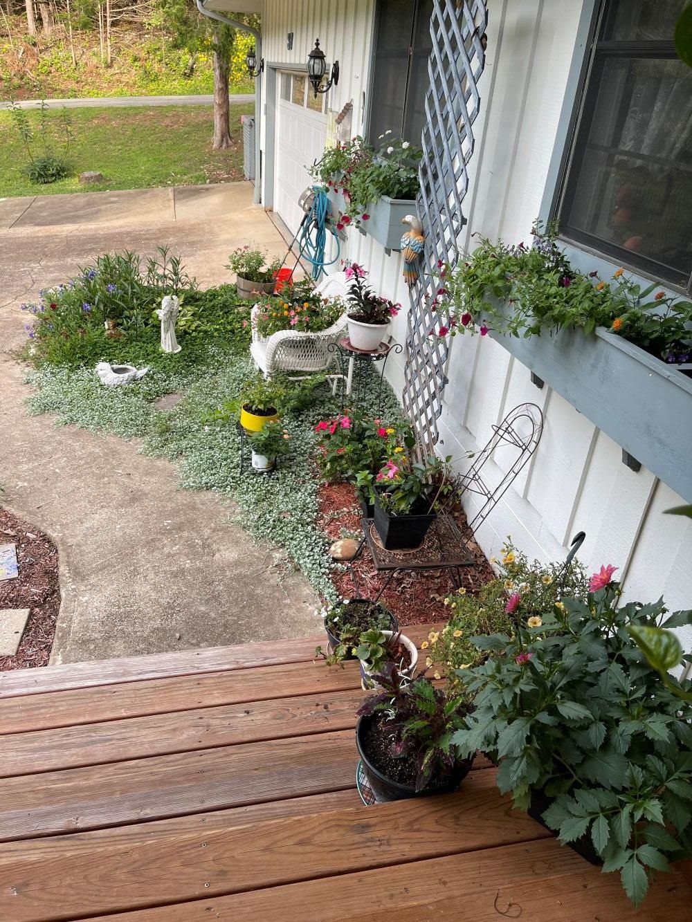 37 Keno  Cherokee Village, AR