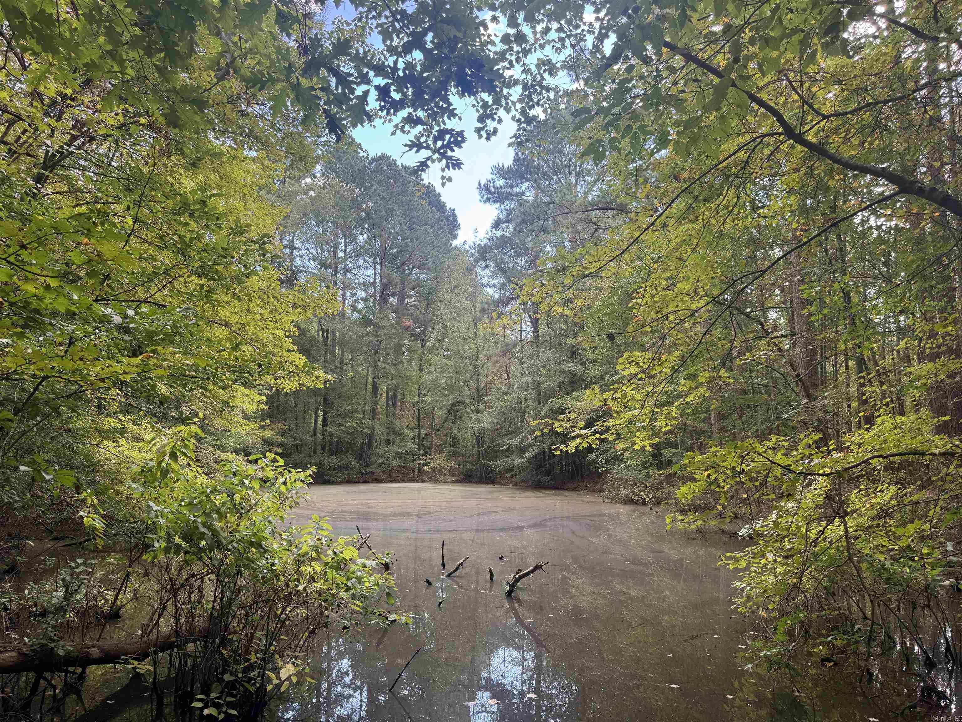  joan  Donaldson, AR