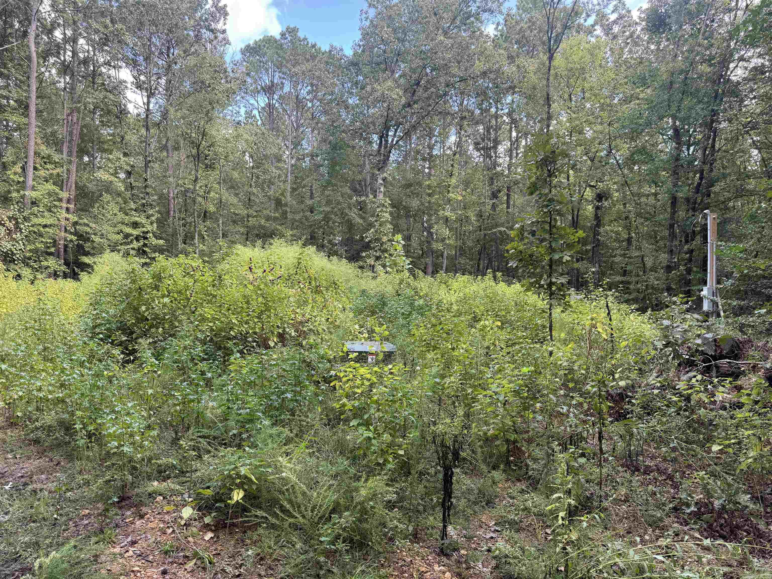  joan  Donaldson, AR