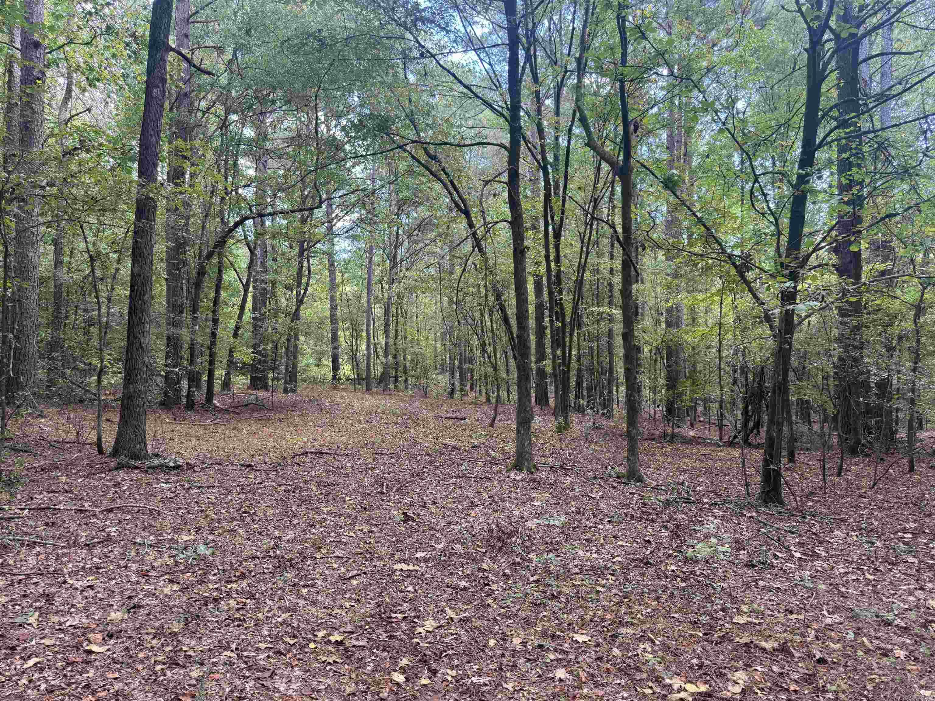  joan  Donaldson, AR