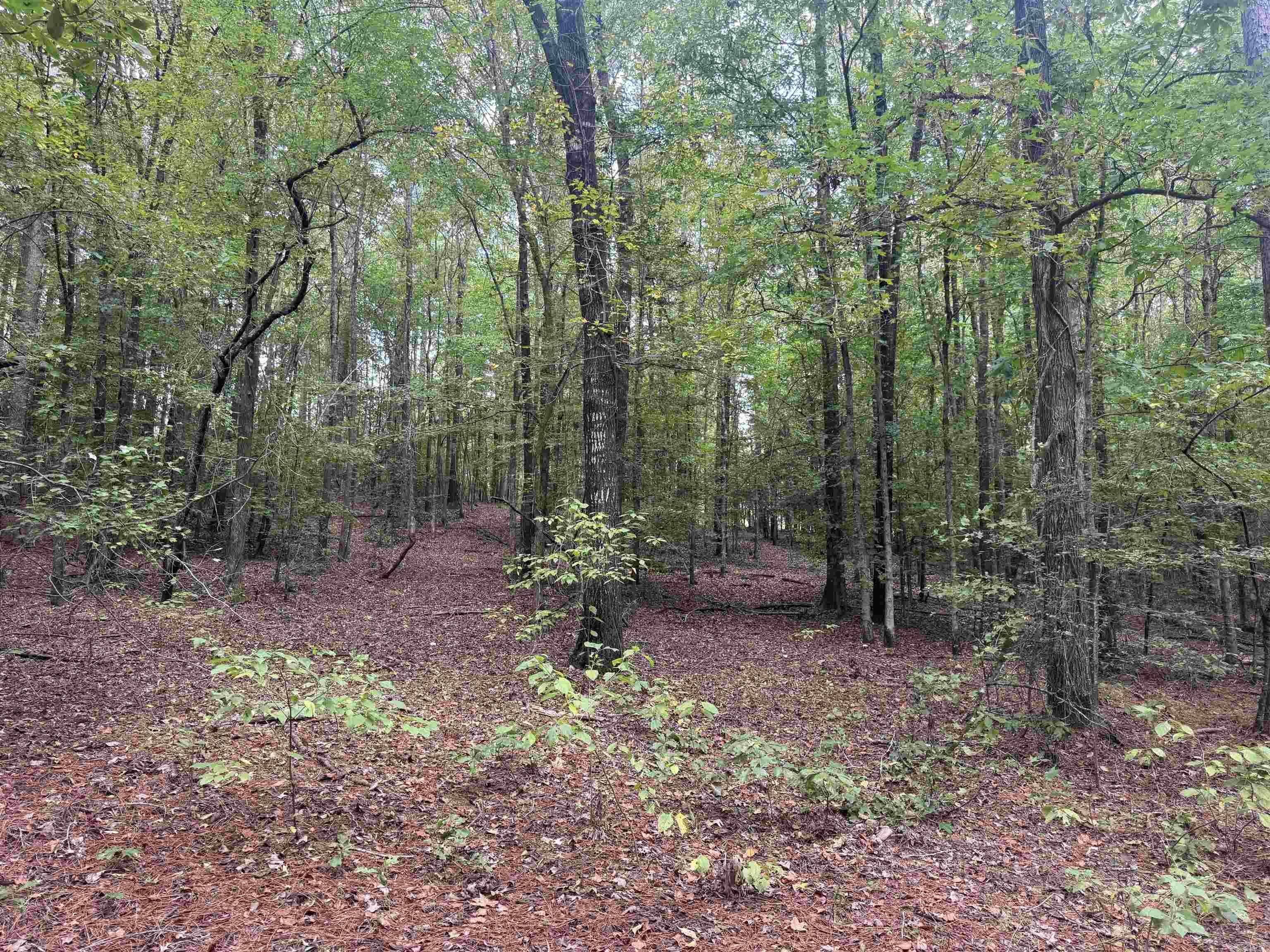  joan  Donaldson, AR