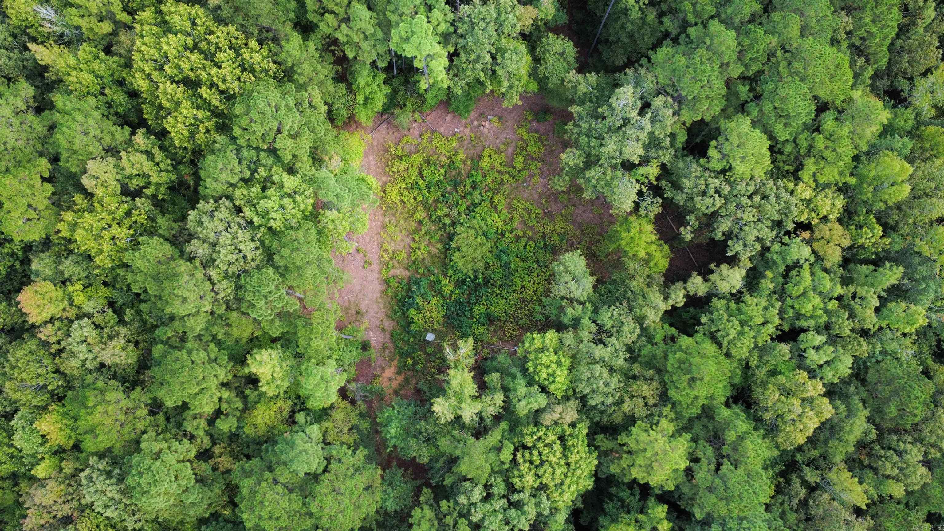  joan  Donaldson, AR