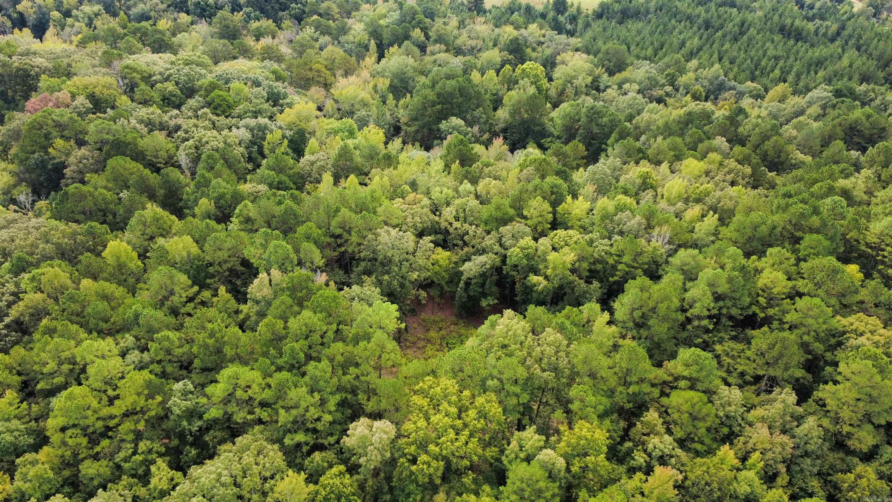  joan  Donaldson, AR