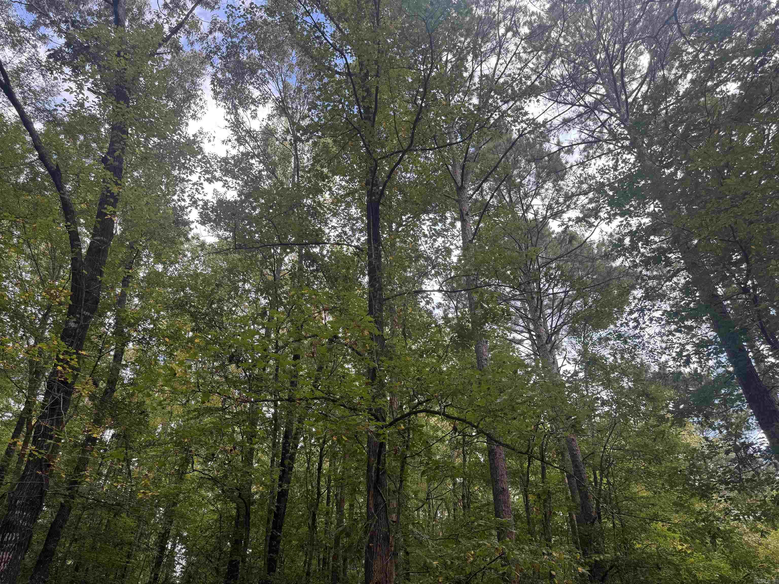  joan  Donaldson, AR