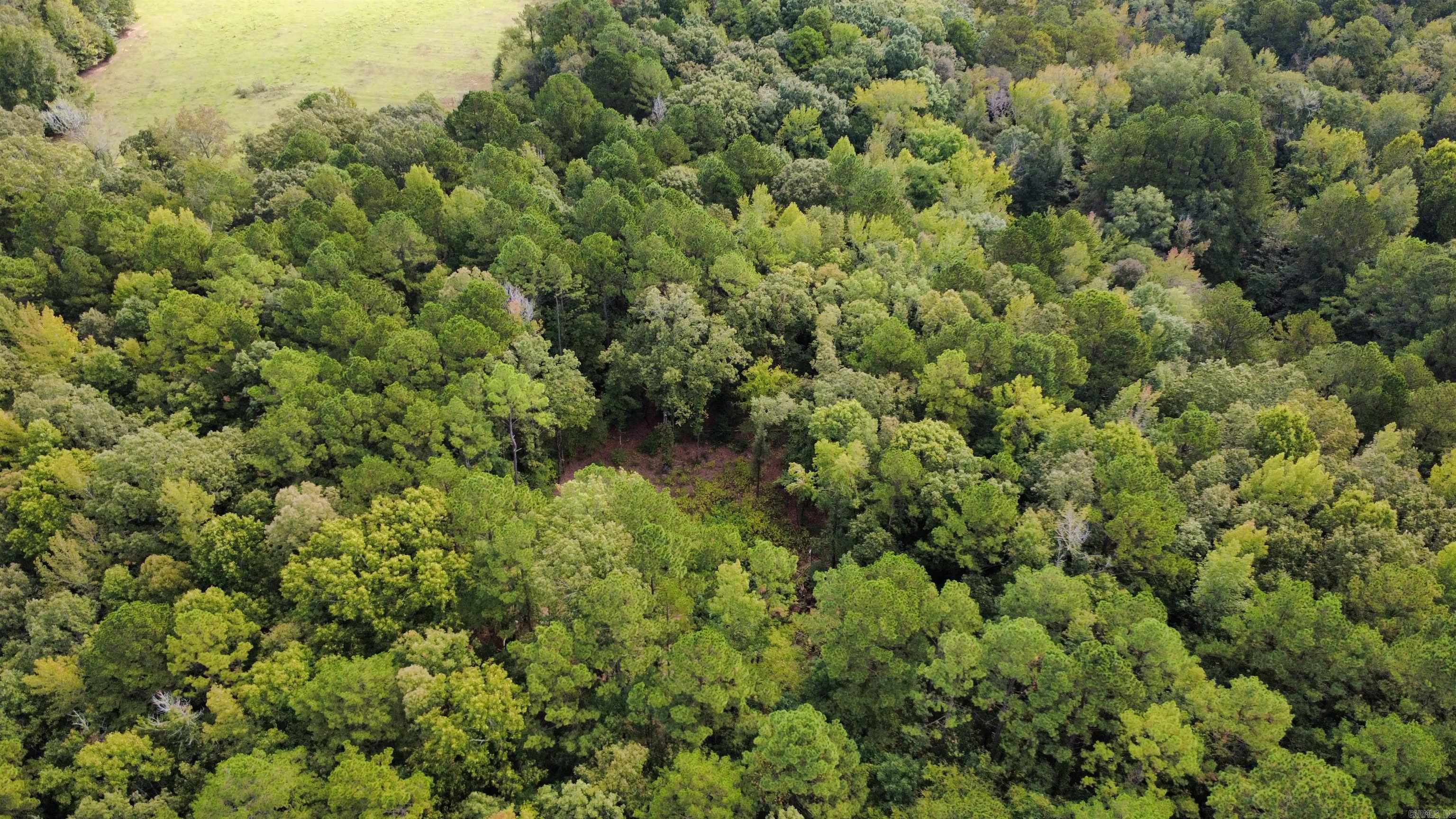  joan  Donaldson, AR