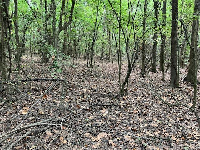  Cox Rd.  Pocahontas, AR